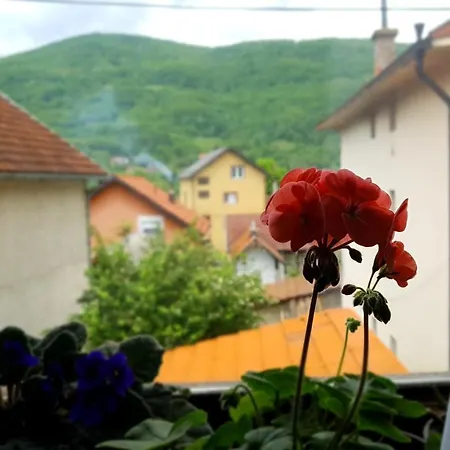 Jovanovic * Баина-Башта