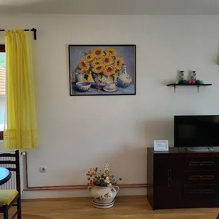 Jovanovic Apartament