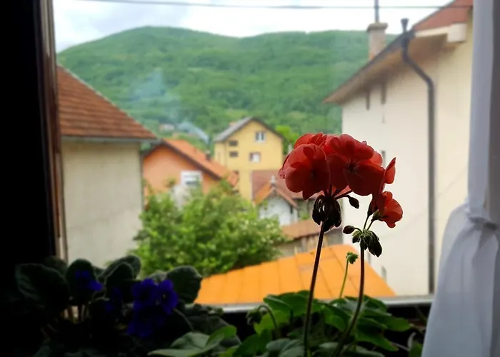 Jovanovic * Bajina Basta